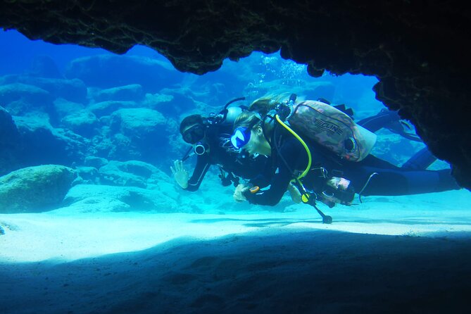 Local Guided Dives (for certified/licensed divers) - Photos, Log Books, and the Return to the Centre