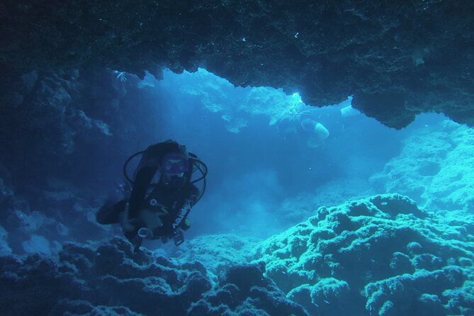 Local Guided Dives (for certified/licensed divers) - Safety, Conditions, and Who Should Book