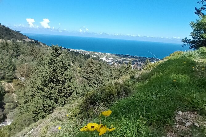 Nature Walking tour in the Mediterranean Cyprus-6days - Day 2: The Karsiyaka ridge and views toward Sinai Monastery