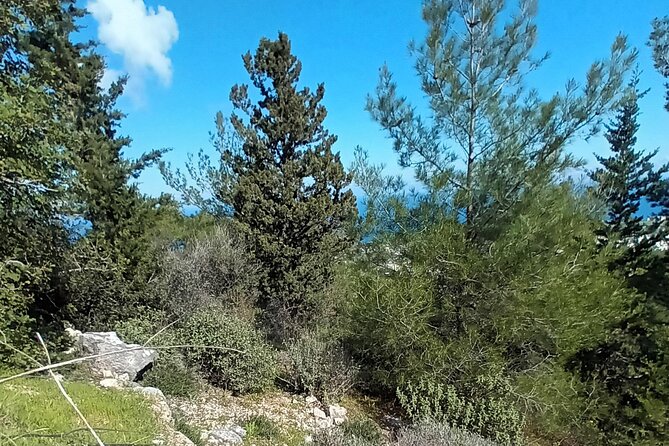 Nature Walking tour in the Mediterranean Cyprus-6days - Day 3: Ilgaz and a quieter western Cyprus experience