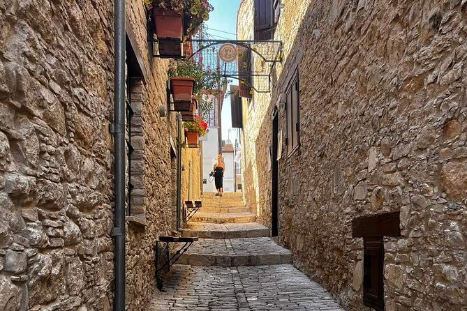 Omodos and Winiary tour, let's feel winter in Cyprus Mountain. - Free time for lunch, meze, and village shopping
