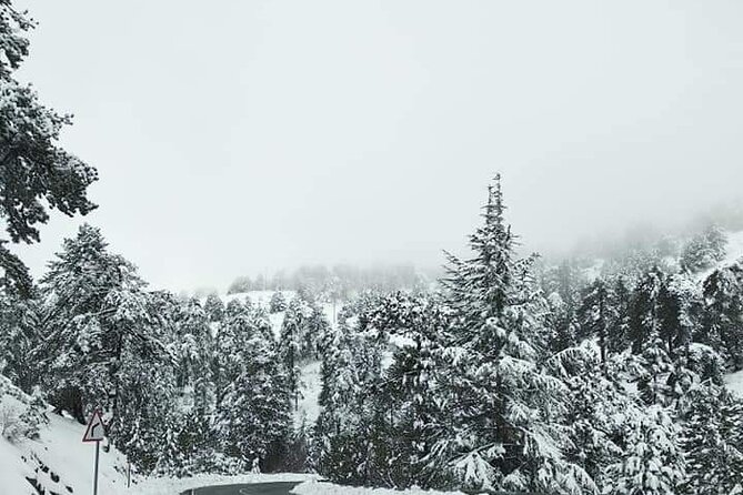 Omodos and Winiary tour, let's feel winter in Cyprus Mountain. - The True Cross Monastery and Cyprus’s religious past