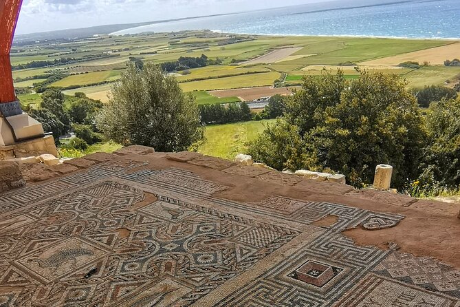 Pafos - Archaeology & Beauty tour from Limassol - Aphrodite’s Rock, with time for coffee