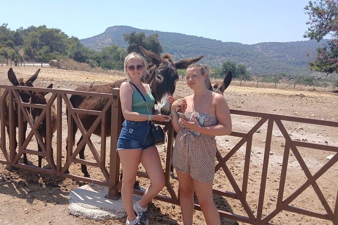 Paphos: Akamas Gorge & Turtle Bay & Donkey Farm Jeep Safari Tour - Key things to know before booking