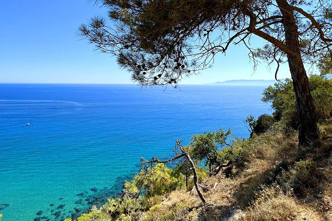 Paphos: Akamas Gorge & Turtle Bay & Donkey Farm Jeep Safari Tour - Lunch at Latchi Harbour