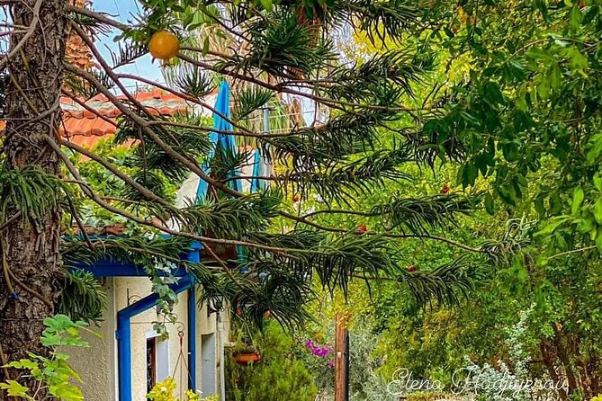 Perfect Day Trip to Beautiful Lefkara tour from Limassol. - Pickup, timing, and practical comfort