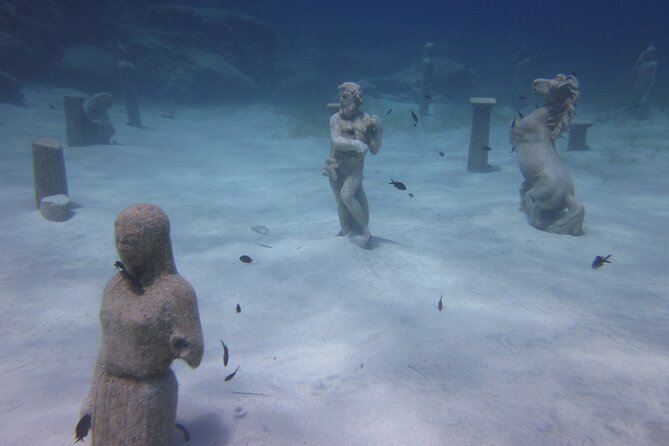 Private Discovery Dive + Photos & Videos - What the $102.79 price gets you