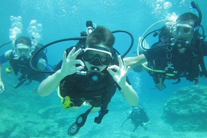 Private Discovery Dive + Photos & Videos - Health rules and timing matter
