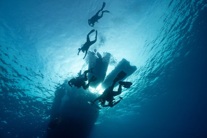 Private Discovery Scuba Diving with Sea Turtles - Equipment, transport, and what the price covers