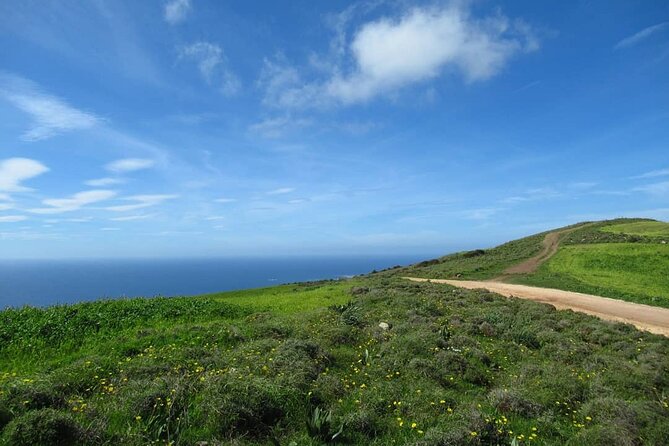 Quad or Buggy Tour from Coral Bay to Adonis Baths - Sea Caves and Rock Formations Near Pegeia