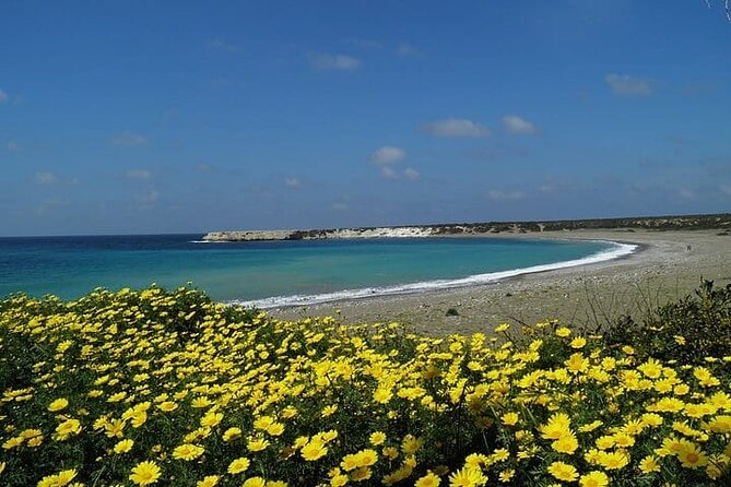 Quad or Buggy Tour from Coral Bay to Lara Bay - Agios Georgios Pegeias and its early Christian remains
