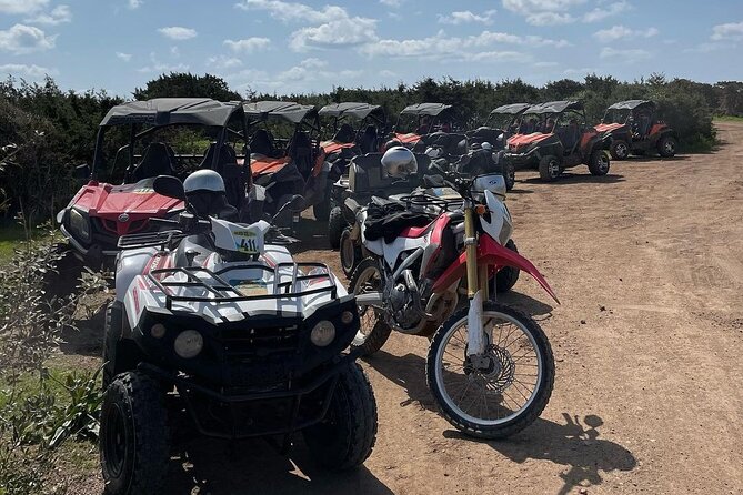 Quad or Buggy Tour from Coral Bay to Lara Bay - Lara Bay Turtle Conservation Station