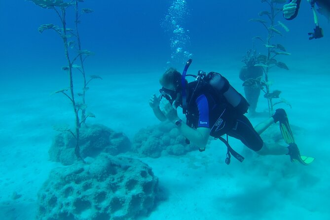 Scuba Diving Cyprus Experience Protaras and Ayia Napa & Turtles - Hotel pickup and timing matter