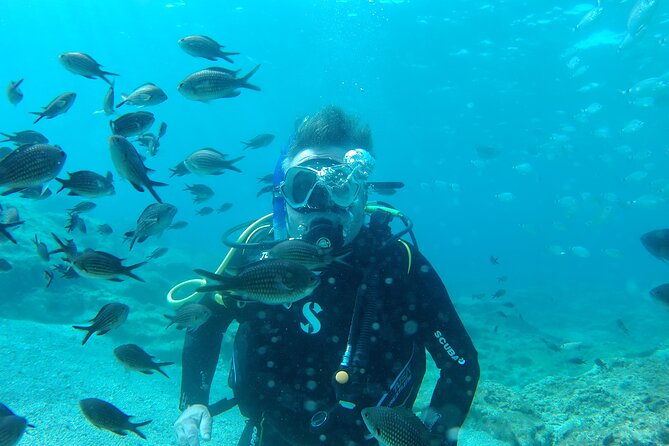 Scuba Diving Cyprus Experience Protaras and Ayia Napa & Turtles - What the instructor’s role means for beginners