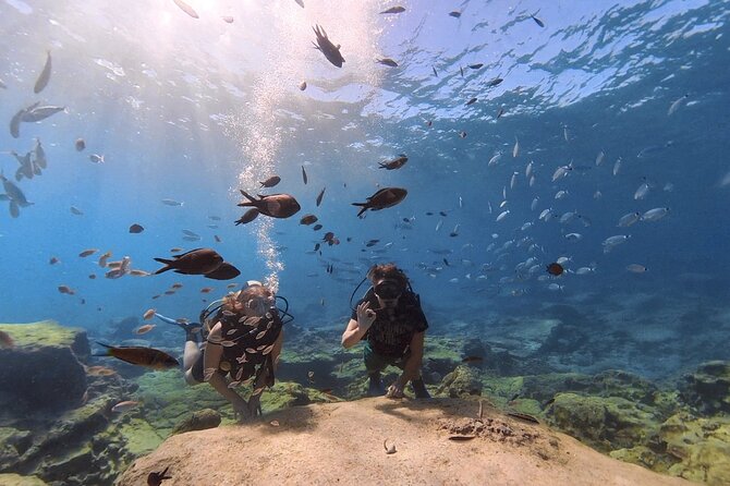 Scuba Diving Experience (10+ Years) AND Free Edited Video - Who should choose this session?