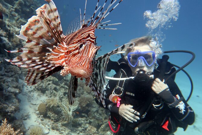 Scuba Diving Experience & MUSAN Dive + Free Edited Video 2xdives - Who should book this Protaras outing