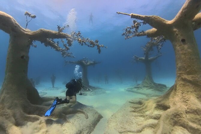 Scuba Diving Experience & MUSAN Dive + Free Edited Video 2xdives - Green Bay is a sensible first lesson