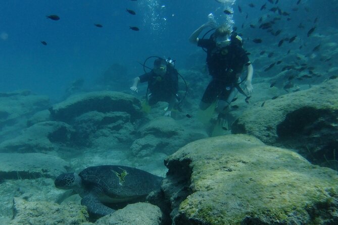 SCUBA DIVING first time experience - Green Bay and the slow descent to 10 meters