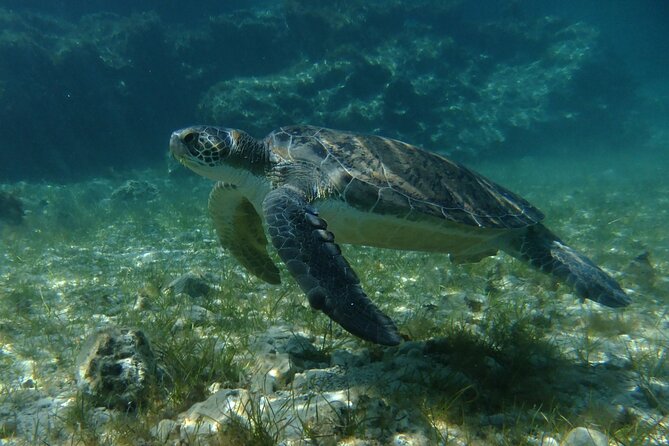 SCUBA DIVING first time experience - Pickup, timing, and what to plan for