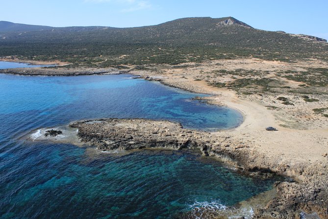 Self-drive Amathunta Private Speedboat to Blue Lagoon, Caves etc - Manolis Bay and its trumpet fish