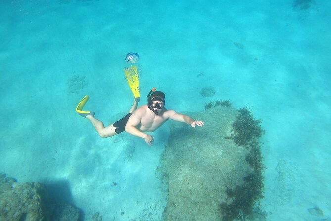 snorkeling ,Turtle Watching in Cyprus - Reaching the turtles from Paphos