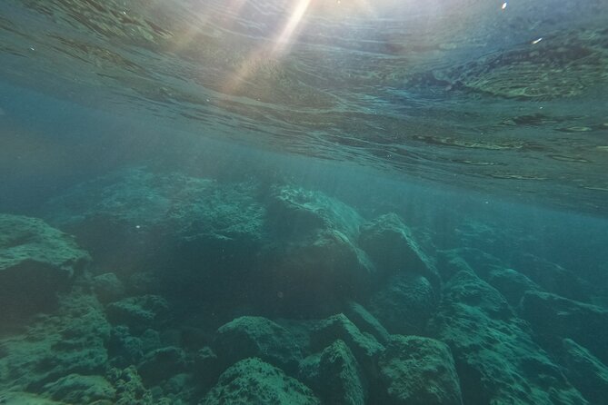 snorkeling ,Turtle Watching in Cyprus - What the turtle encounter is really like
