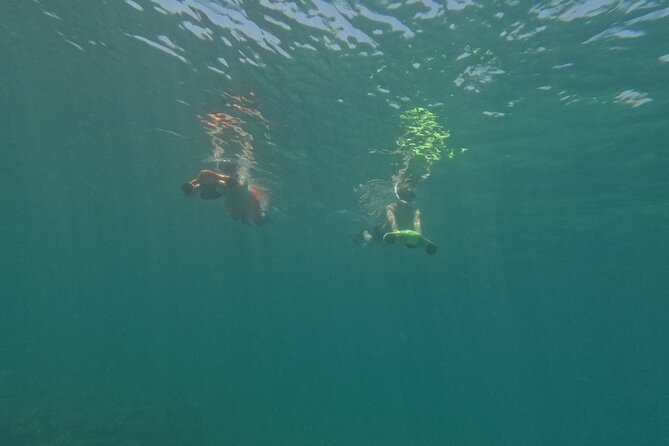 snorkeling ,Turtle Watching in Cyprus - The break and second water session