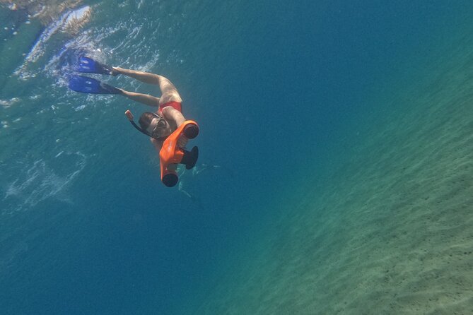 snorkeling ,Turtle Watching in Cyprus - Photos, guides, and the human side of the trip