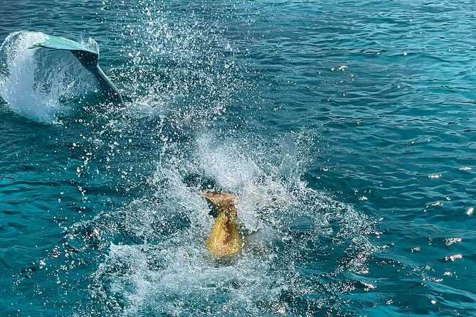 The Mermaid Cruise by Medusa Cruises – 2:30-Hour Family Adventure - Cape Greco and the 30-minute swim stop