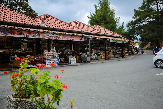 Tour to Troodos, Kykkos Monastery, Omodos and Winery from Paphos - Kykkos Monastery in the pine country