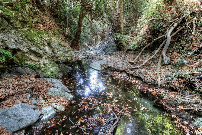 Troodos Jeep Safari from Protaras,Ayia napa & Larnaca - How much off-road driving should you expect?
