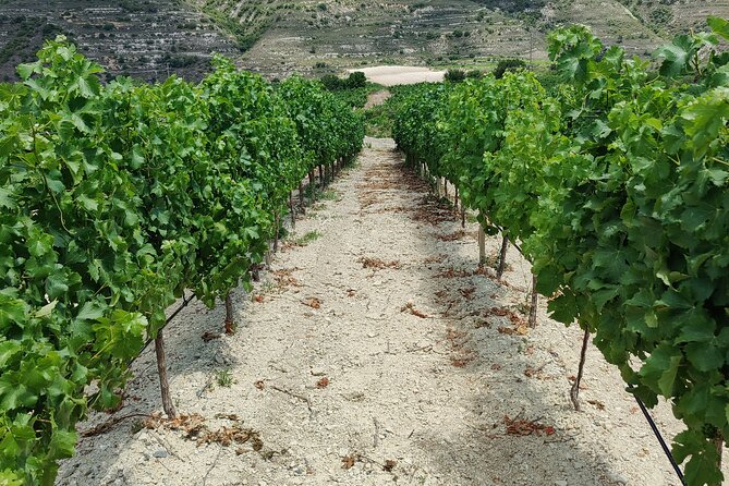 Troodos Mountains Grape Escape: All Inclusive Food & Wine Tour - What $141.77 includes, and what it does not