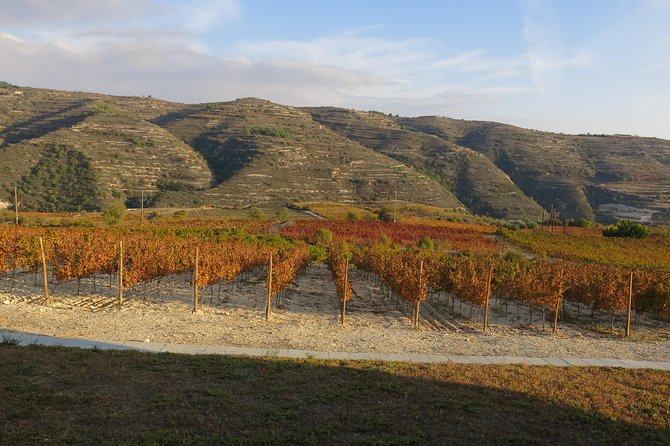 Troodos Mountains Grape Escape: All Inclusive Food & Wine Tour - Booking details worth knowing