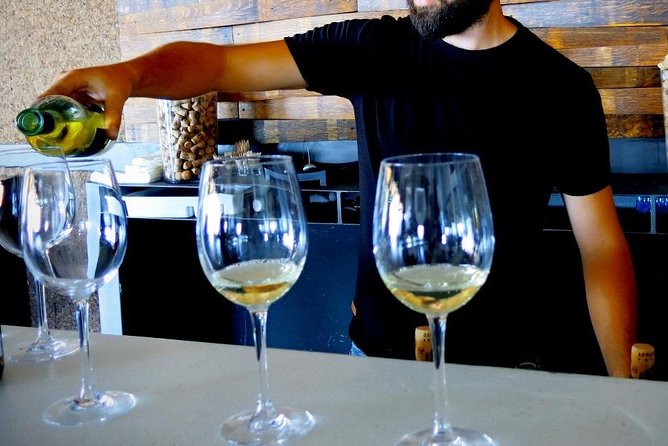 Troodos Mountains Vino Venture: All Inclusive Full Day Wine Tour - Practical details that matter