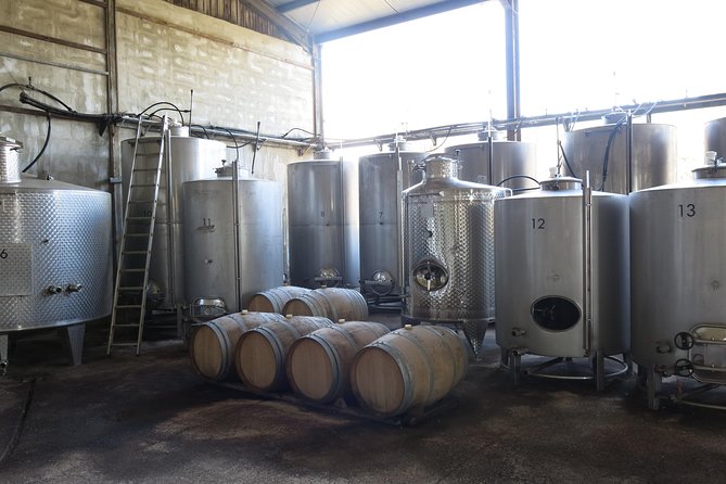 Troodos Mountains Vino Venture: All Inclusive Full Day Wine Tour - Omodos brings food, crafts, and village character