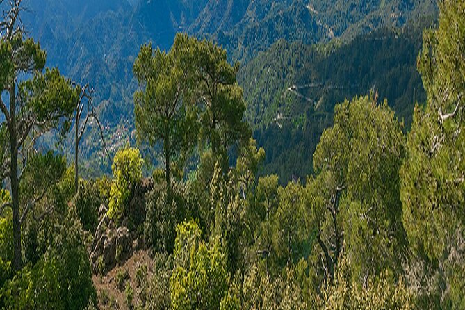 Troodos Peaks & Mountain Flavors Day Tour from Paphos - Kykkos Monastery, the day’s main attraction