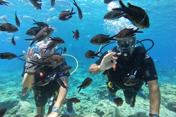 Try a Scuba Diving Experience - Your first underwater outing in Green Bay