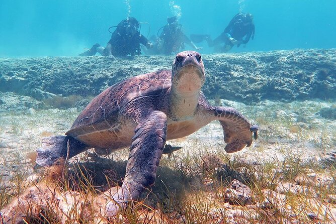 Try a Scuba Diving Experience - What the $90.74 price includes