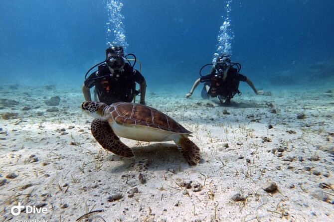 Try a Scuba Diving Experience - Who will enjoy this most