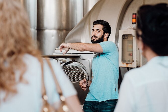Wine tasting and winery tour at Fikardos Winery - Who will enjoy this most?