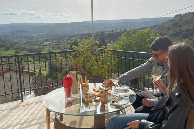 Wine Tasting and Winery Tour in Lemona Village, Paphos - How much value do you get for $27.66?