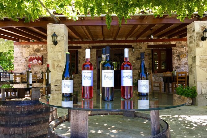 Wine Tasting and Winery Tour in Lemona Village, Paphos - Useful planning details before you book